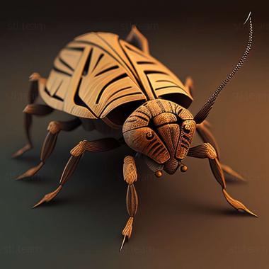 3D model Dolycoris (STL)